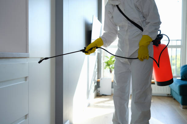 Office Mold Removal Services in Westway, TX